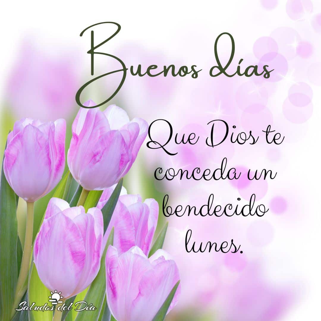 Bendecido lunes