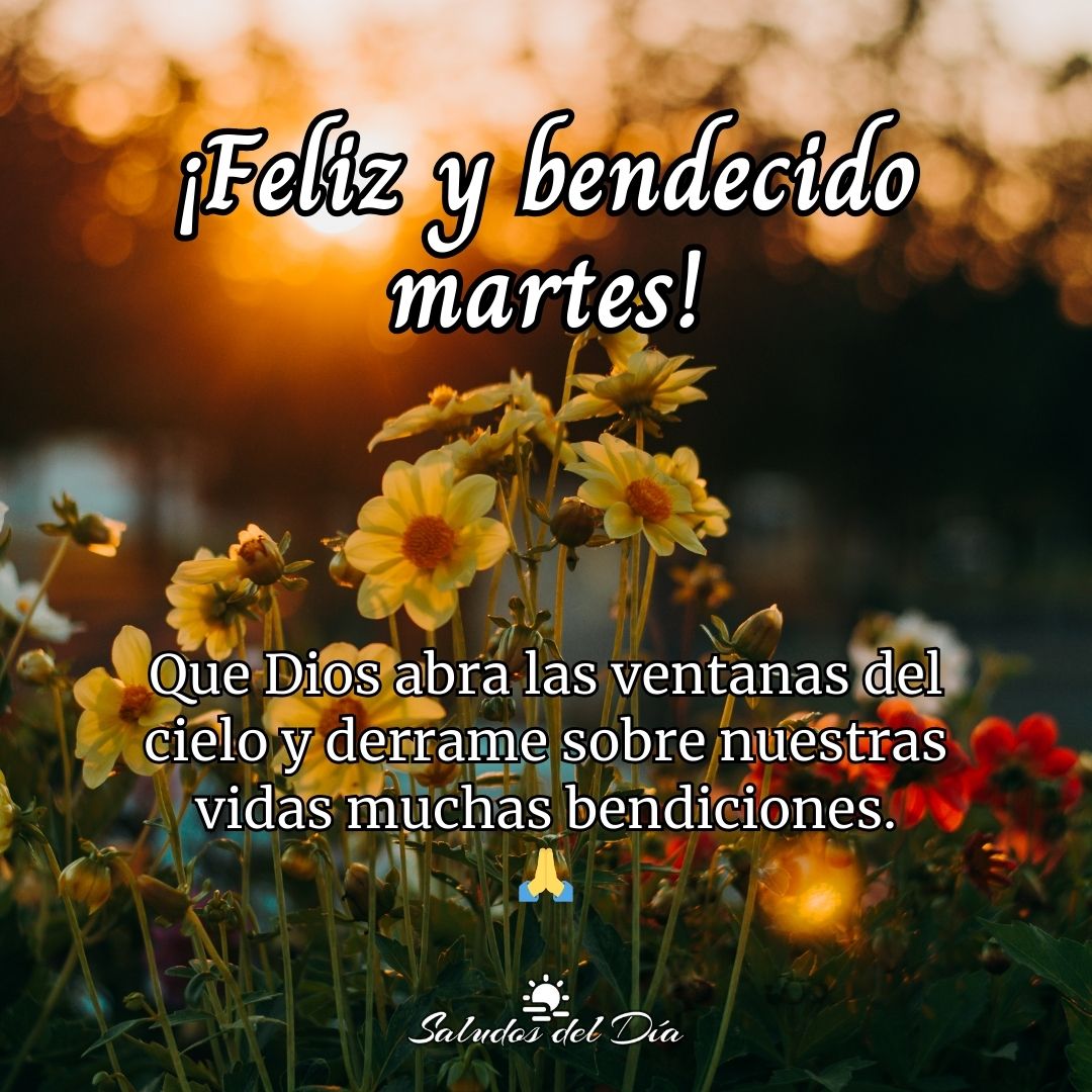 Feliz y bendecido martes